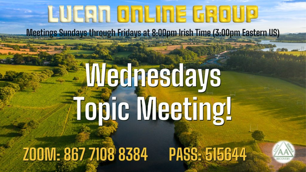 Lucan Online Group Wednesdays Topic Meeting poster